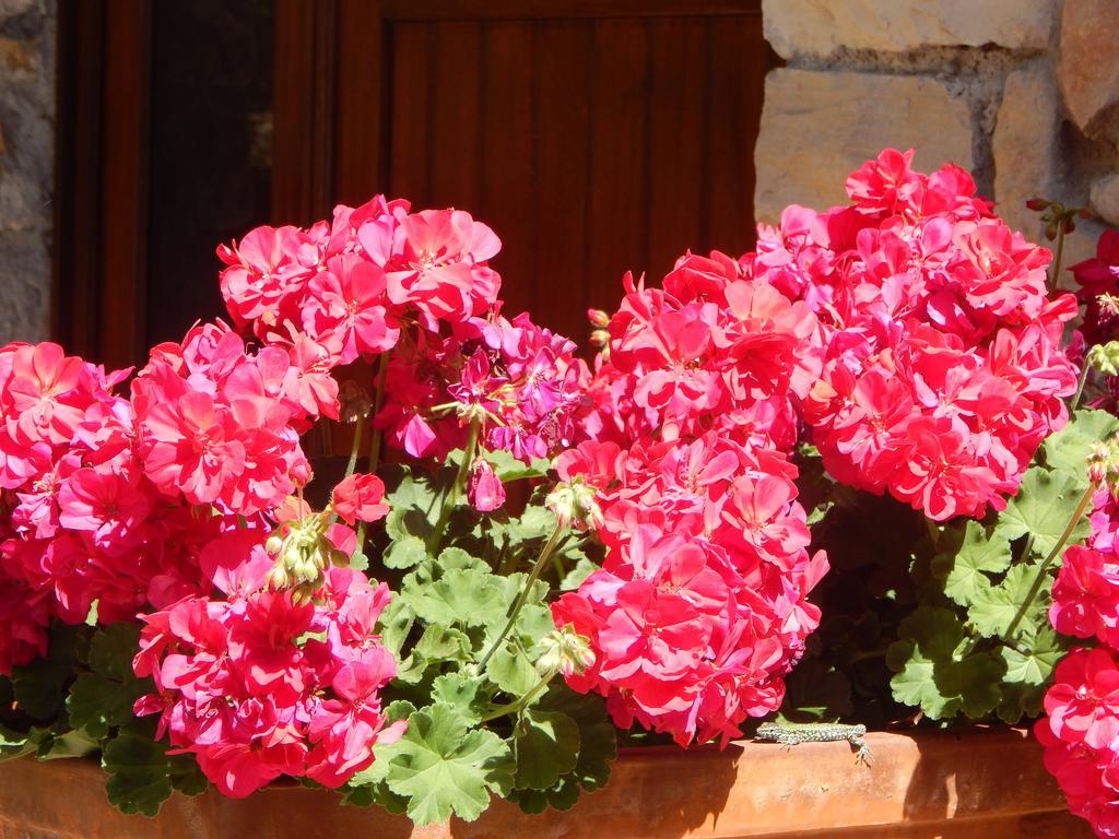 I Lecci Bed & Breakfast Lerici Exterior photo