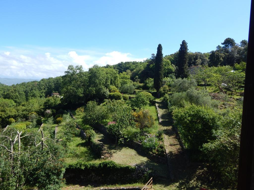 I Lecci Bed & Breakfast Lerici Exterior photo