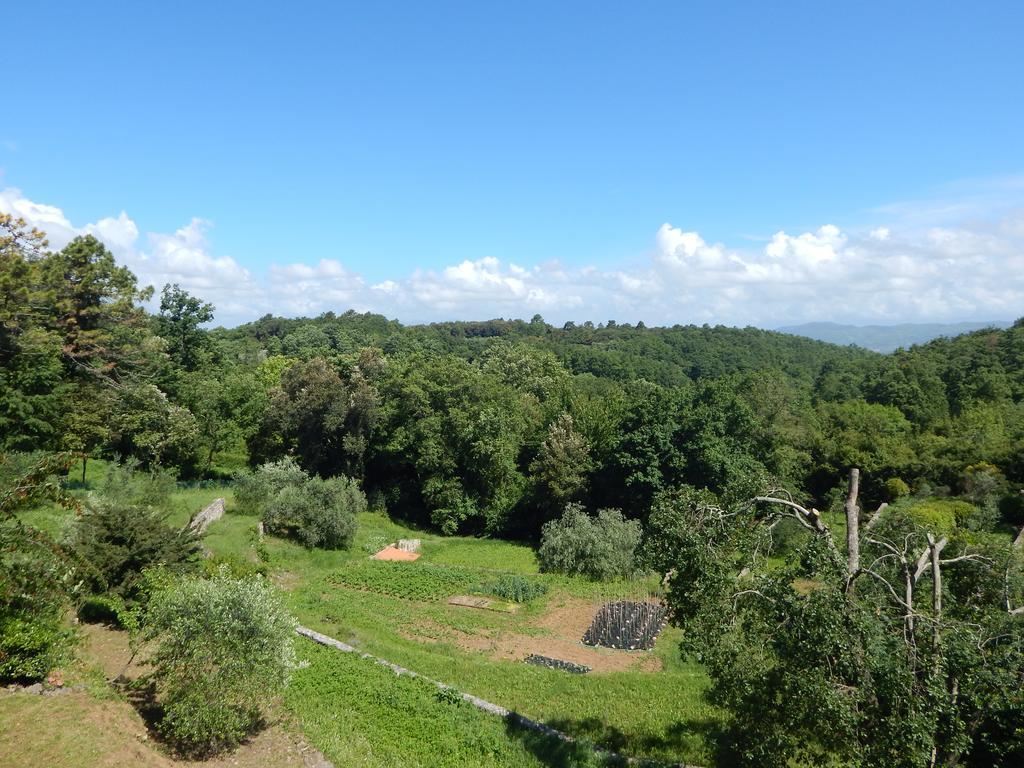I Lecci Bed & Breakfast Lerici Exterior photo