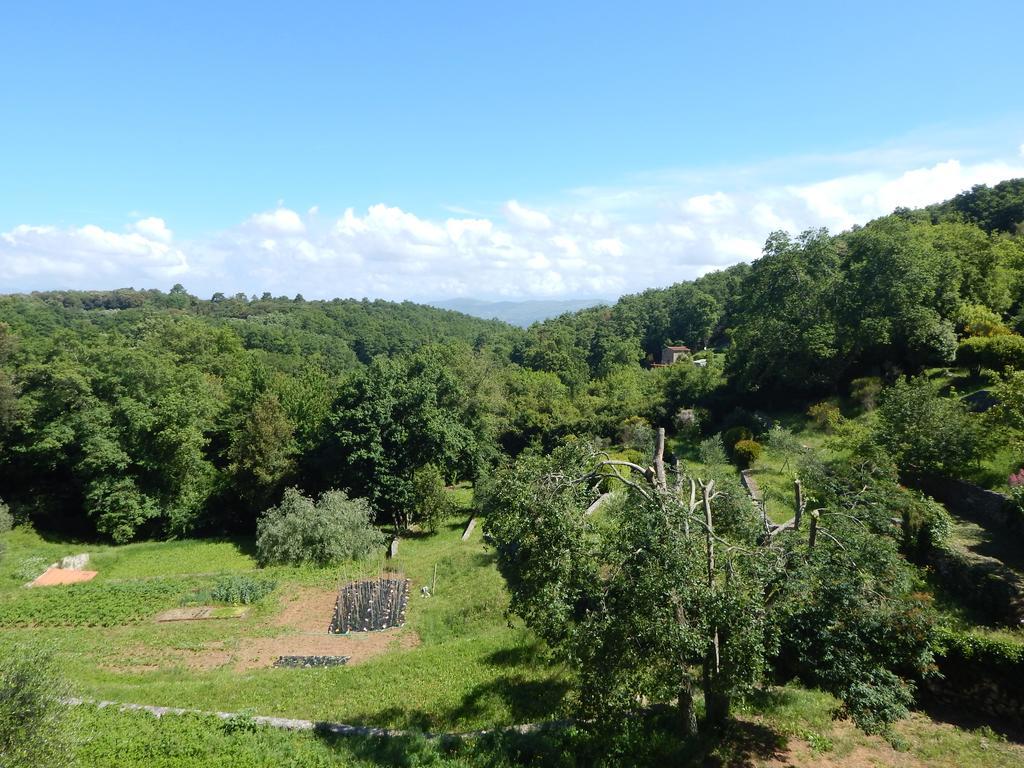 I Lecci Bed & Breakfast Lerici Exterior photo